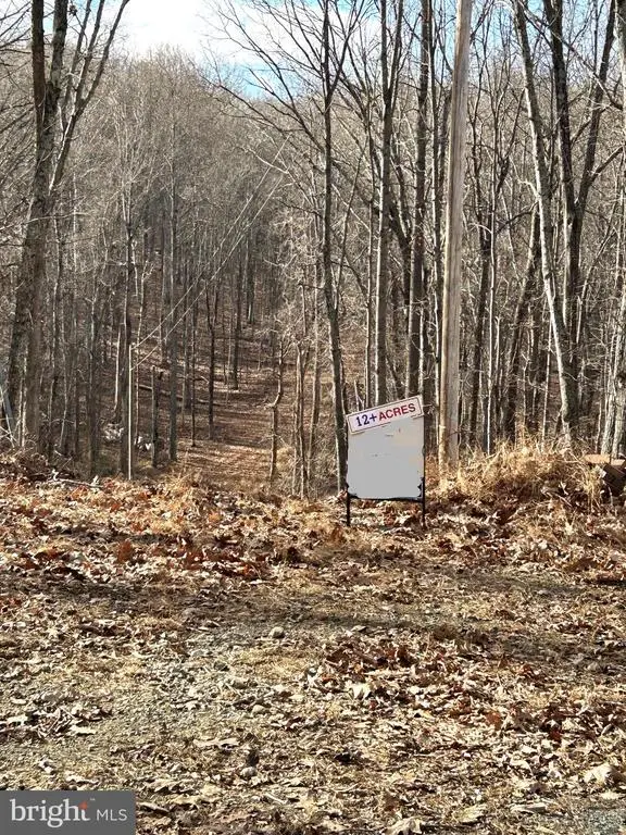 Snow Mountain Rd, Broad Run, VA  - Image #2