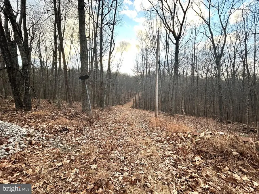 Snow Mountain Rd, Broad Run, VA  - Image #3