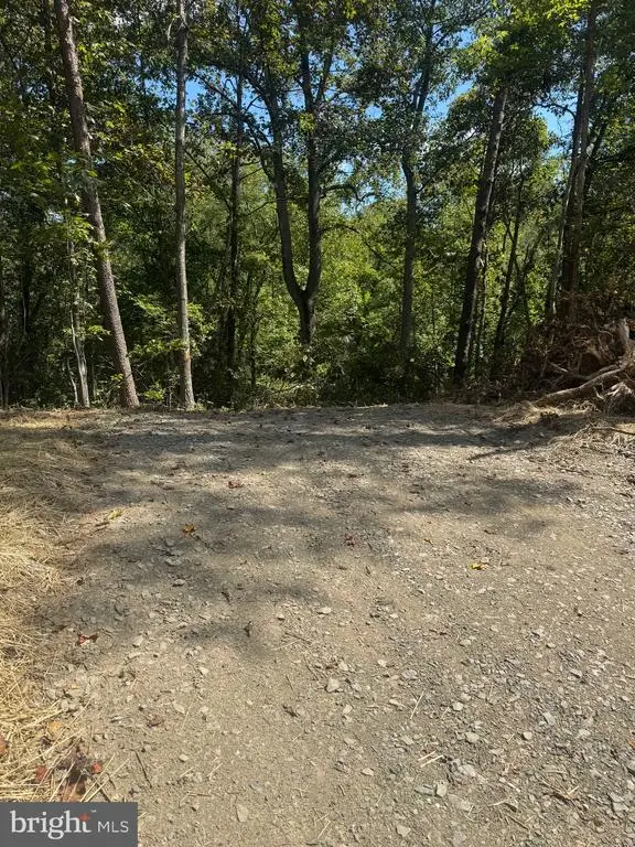 Cabin Branch Road, Marshall, VA 20115 - #1