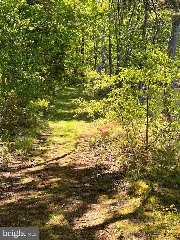 Elk Run, Bealeton, VA  - #3