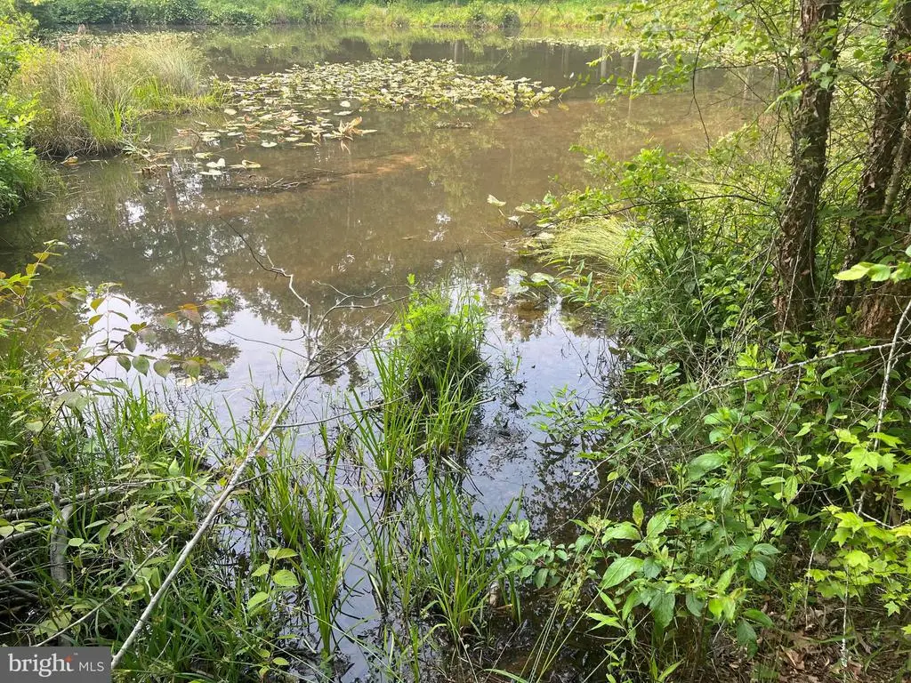 Kangaroo Ct, Mineral, VA 23117 - #1