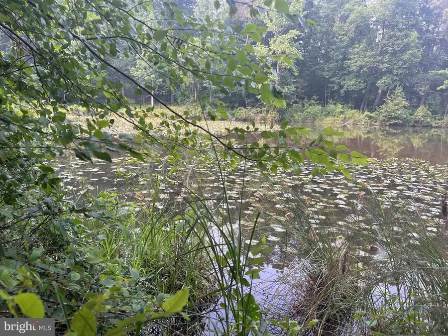 Kangaroo Ct, Mineral, VA 23117 - #2