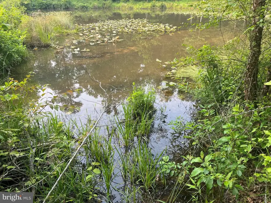 Kangaroo Ct, Mineral, VA 23117 - #3