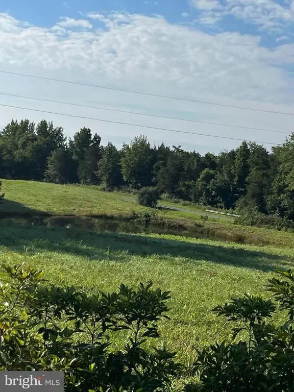 Holland Creek Rd, Louisa, VA 23093 - #1