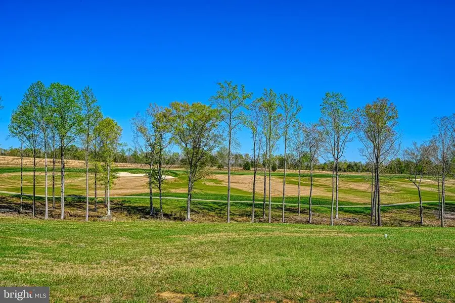 Tatum Dr, Mineral, VA 23117 - #2