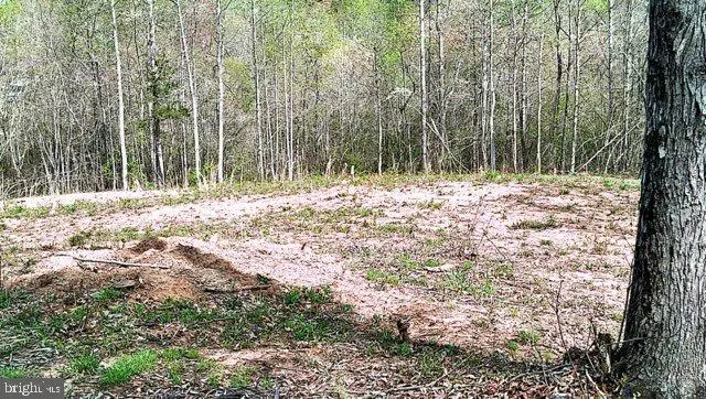 0 Curley Ln, Bumpass, VA 23024 - Image #2