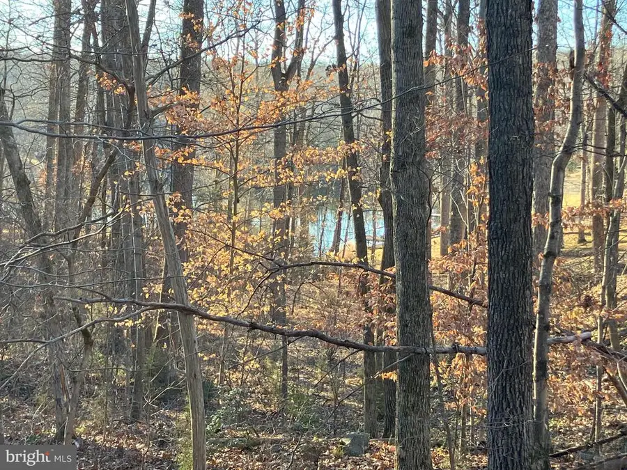 Lakeshore Dr N, Louisa, VA 23093 - #3