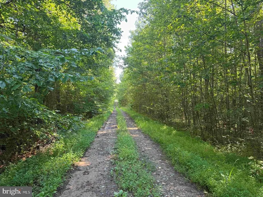 Bannister Town Road (tract Dtof Louisa), Louisa, VA 23093 - #2