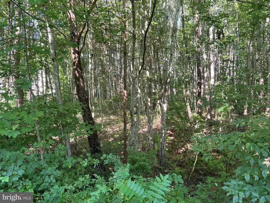 Overton Dr, Bumpass, VA 23024 - #2