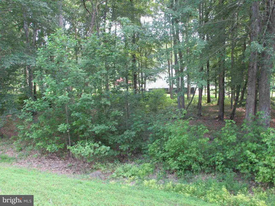 Blue Sky Way, Bumpass, VA 23024 - #3