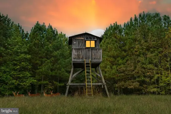 Cross Country Rd., Mineral, VA 23117