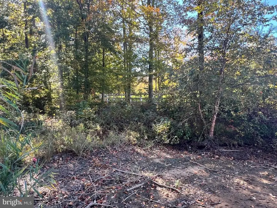 Lot 5 Promise Lane, Bumpass, VA 23024 - #3