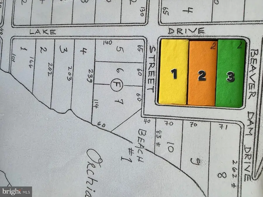 Orchid Lake, Gum Spring, VA  - Image #3