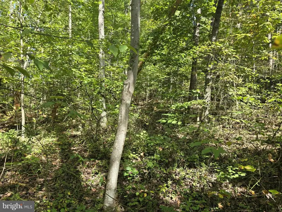 Poorhouse Rd, Madison, VA 22727 - #3