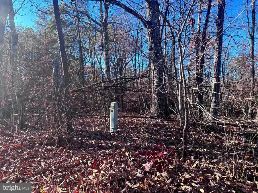 0 Main Uno Baptist Church Ln, Rochelle, VA 22738 - #3