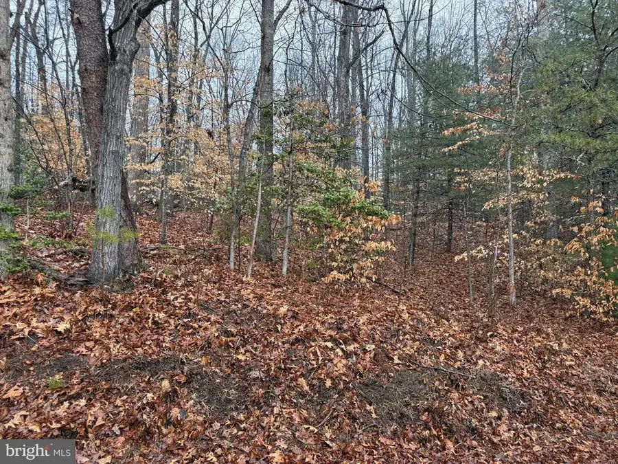 0 Tatum School Rd, Madison, VA 22727 - #3