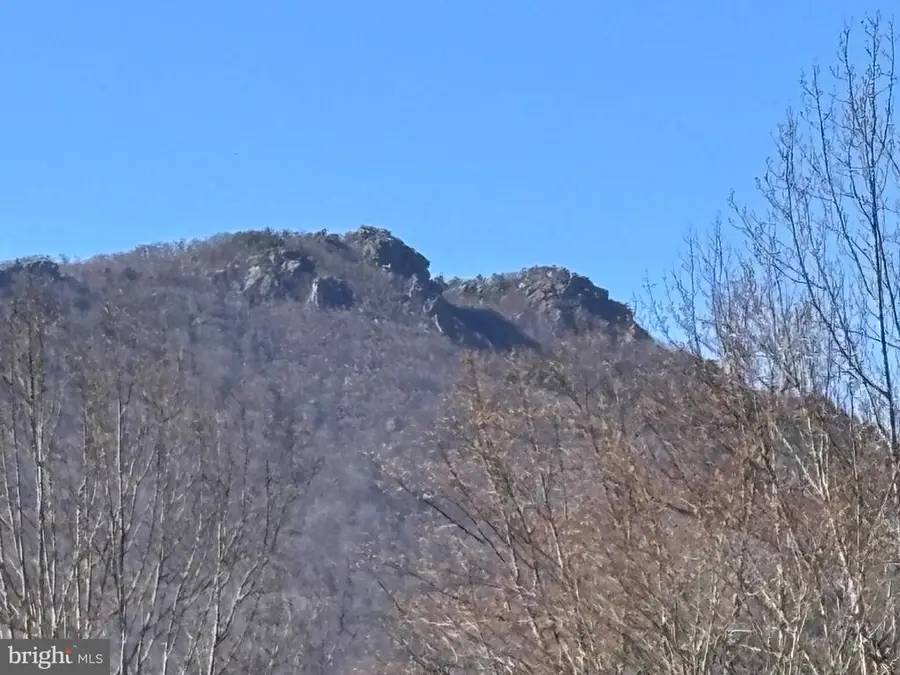 0 Pine Hill, Sperryville, VA 22740 - #3