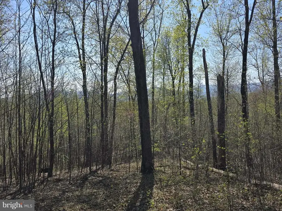 S Ft Valley Rd, Madison, VA 22727 - #3