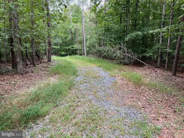 S. Blue Ridge Turnpike, Rochelle, VA 22738