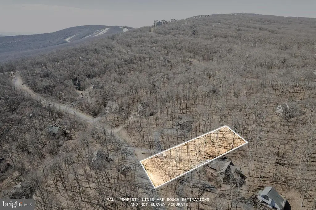 688 Shamokin Springs Trl Trl, Nellysford, VA 22958 - #1