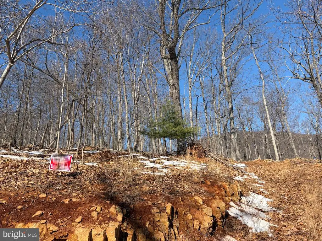 Treehouse Pl, Nellysford, VA 22958 - #1