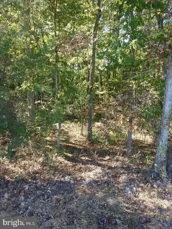 33 Zachary Taylor Hwy, Unionville, VA 22567 - #1
