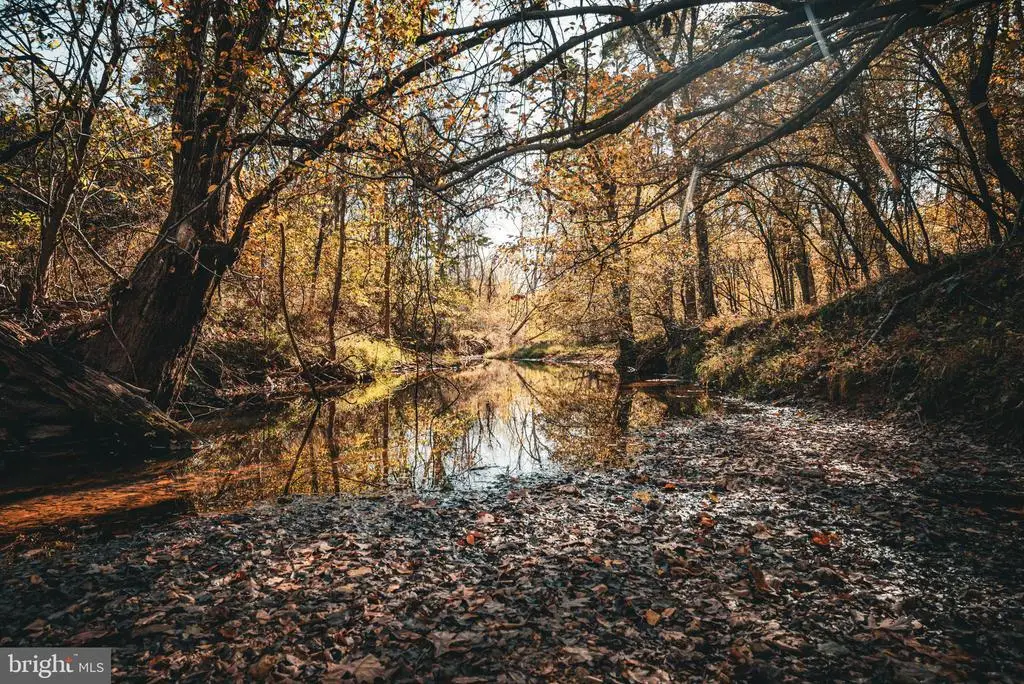 14603 Cox Mill Rd, Gordonsville, VA 22942 - #1