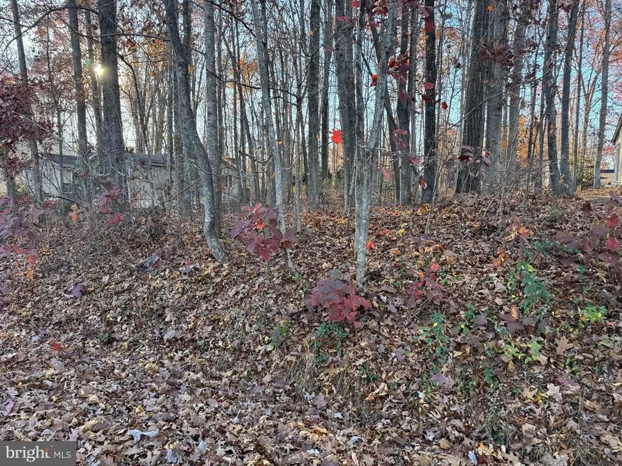 106 Monument Rd, Locust Grove, VA 22508 - Image #2