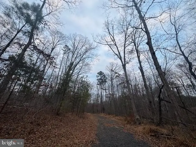 Woodlands Drive, Orange, VA 22960 - #3