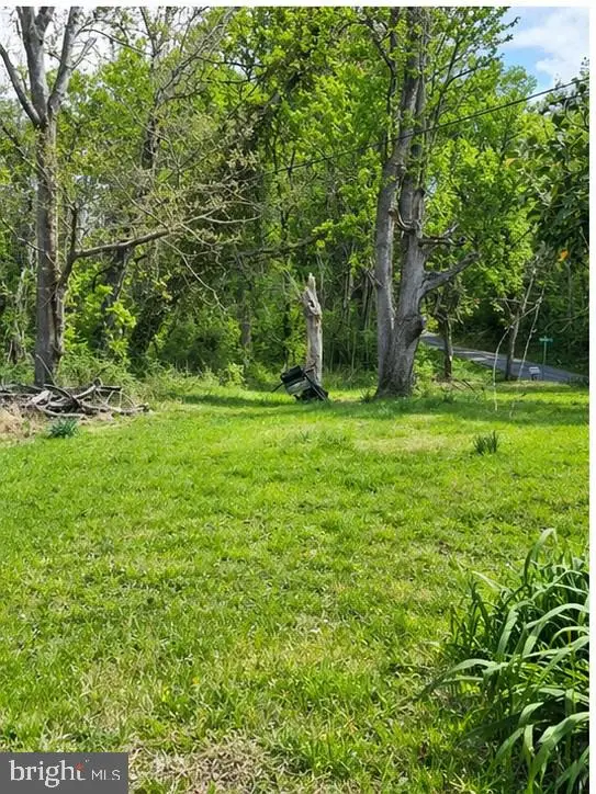 9422 Little Skyline Dr, Orange, VA 22960 - #2