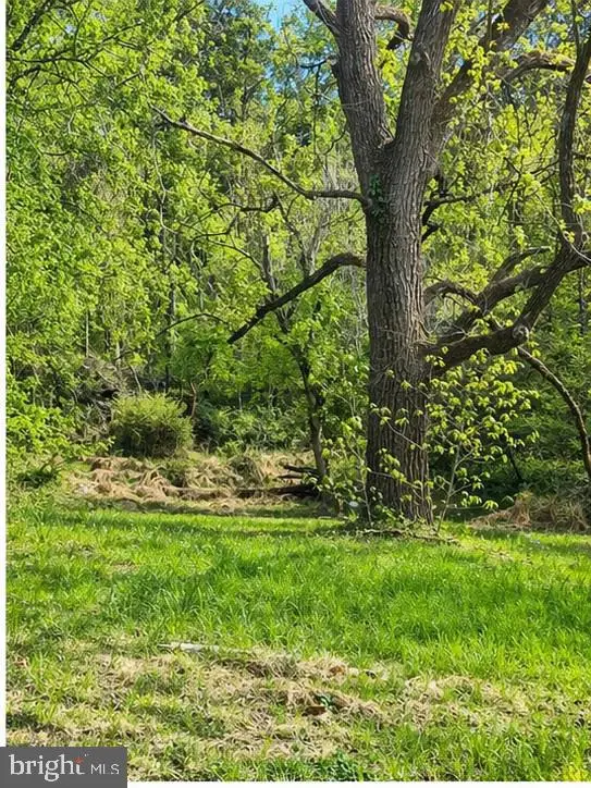 9422 Little Skyline Dr, Orange, VA 22960 - #3