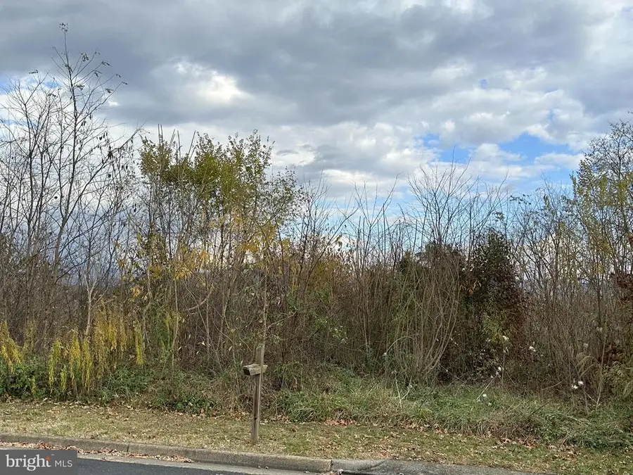 Independence Drive, Luray, VA 22835 - Image #3