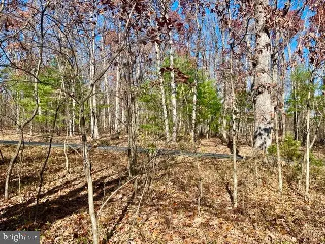 Egypt Bend Road, Luray, VA 22835 - Image #3