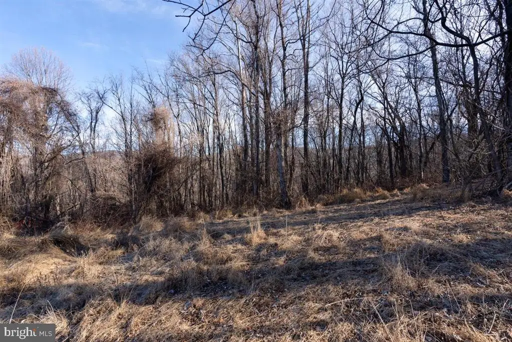 Overlook Mountain, Elkton, VA 22827 - #1