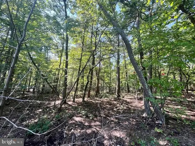 Cardinal Dr., Luray, VA 22835 - #1