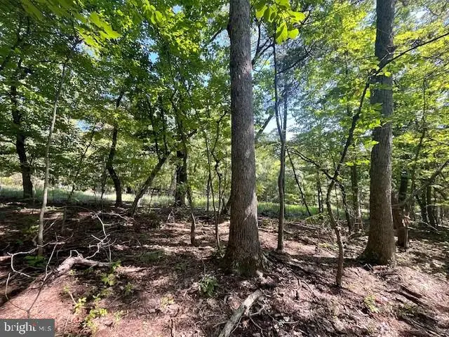 Cardinal Dr., Luray, VA 22835 - #2