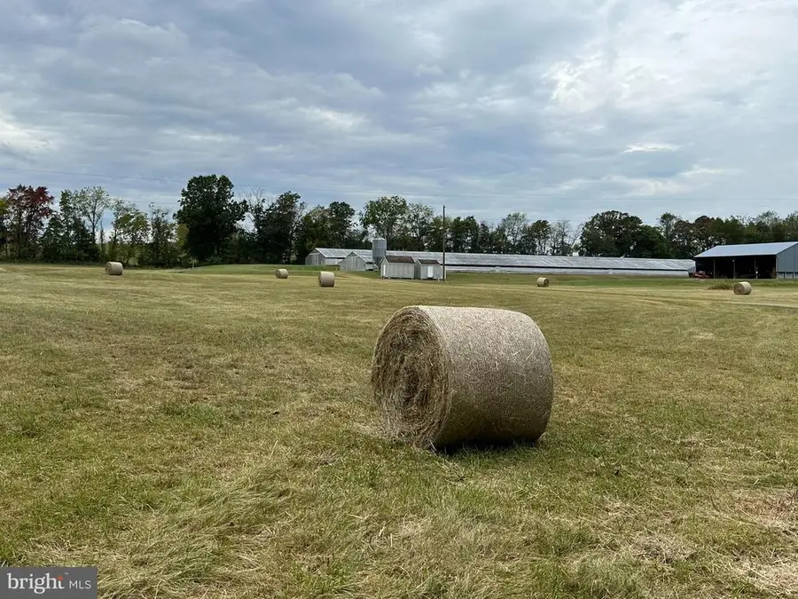 Vaughn Summit Rd., Luray, VA 22835 - #2