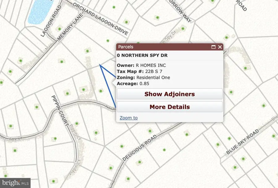 Woodside Dr, Rileyville, VA 22650 - #3