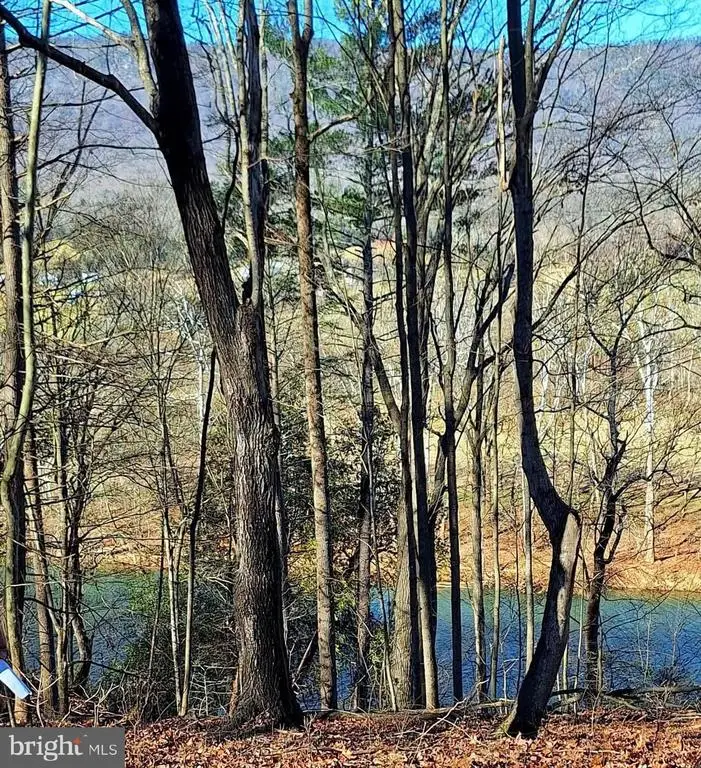 Lot 11 Kauffmans Mill Rd, Luray, VA 22835 - #2