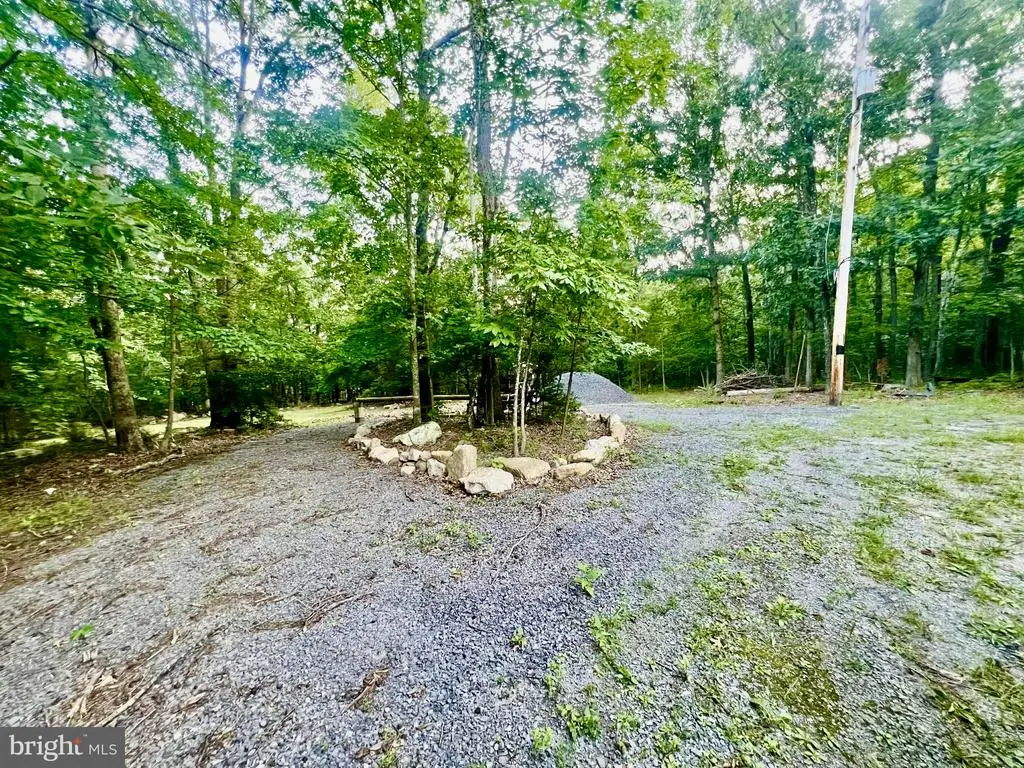 Suzanne Lane, Luray, VA 22835 - #1