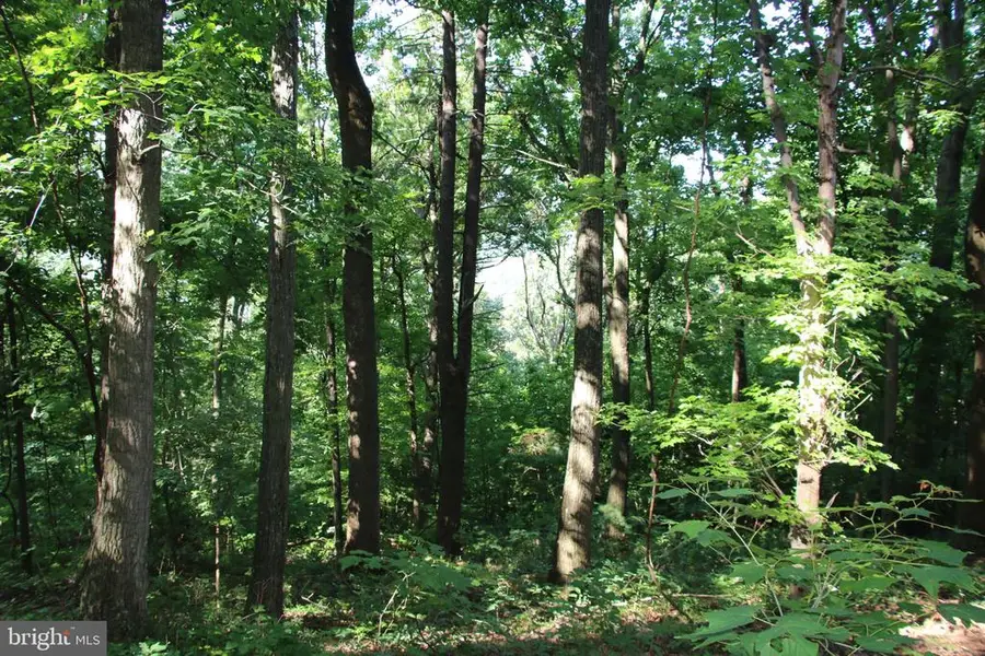 Baxter Dr, Stanley, VA 22851 - #3