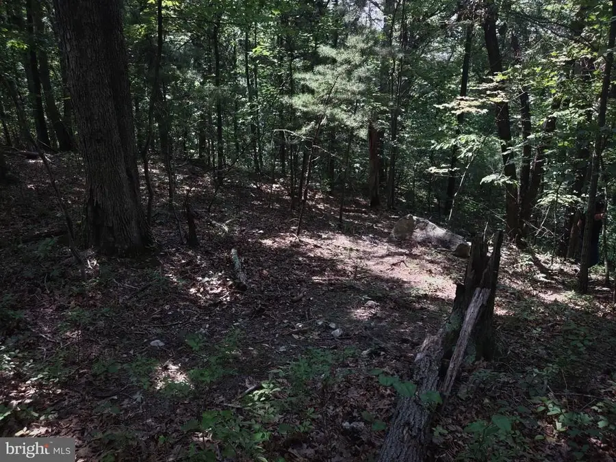 Blevins Road E, Luray, VA 22835 - #2