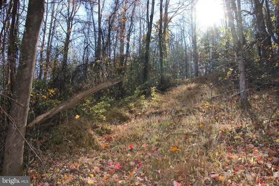 Overlook Mountain Rd, Elkton, VA 22827 - #3