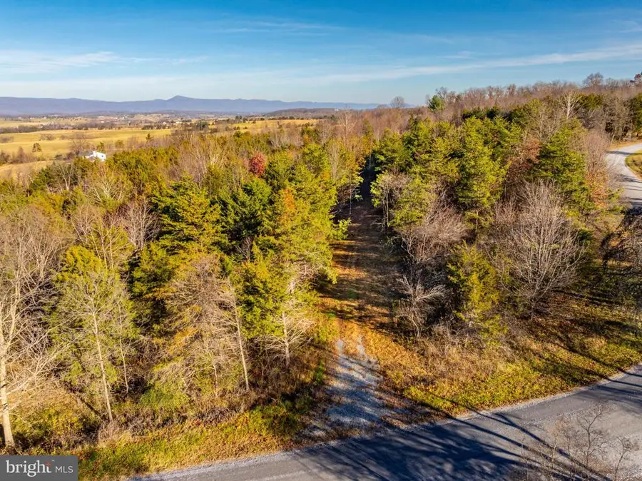 Harper Valley Rd, Luray, VA 22835 - #3
