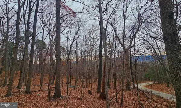 Forest Drive Ext, Luray, VA 22835