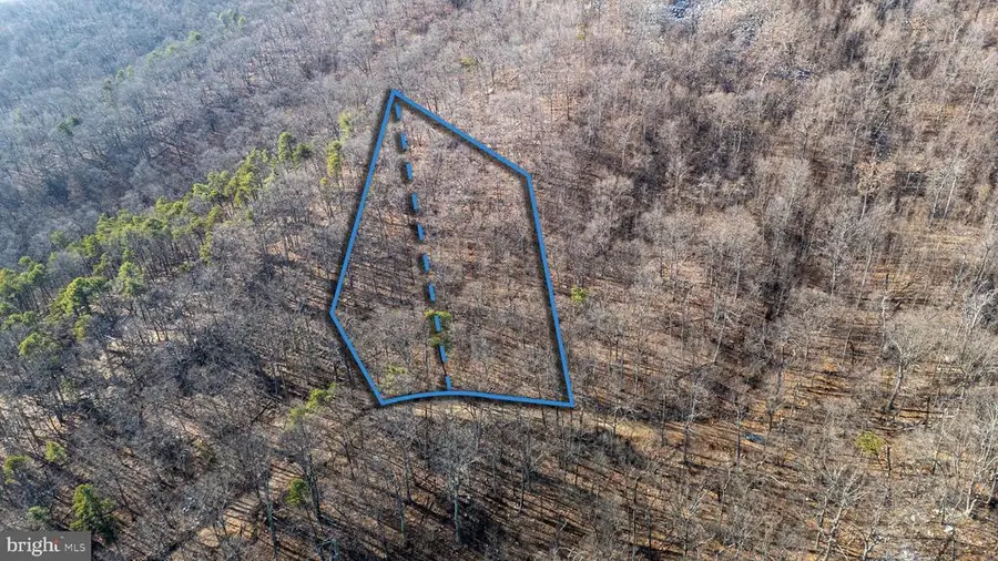 High Pines Rd, Luray, VA 22835 - Image #2