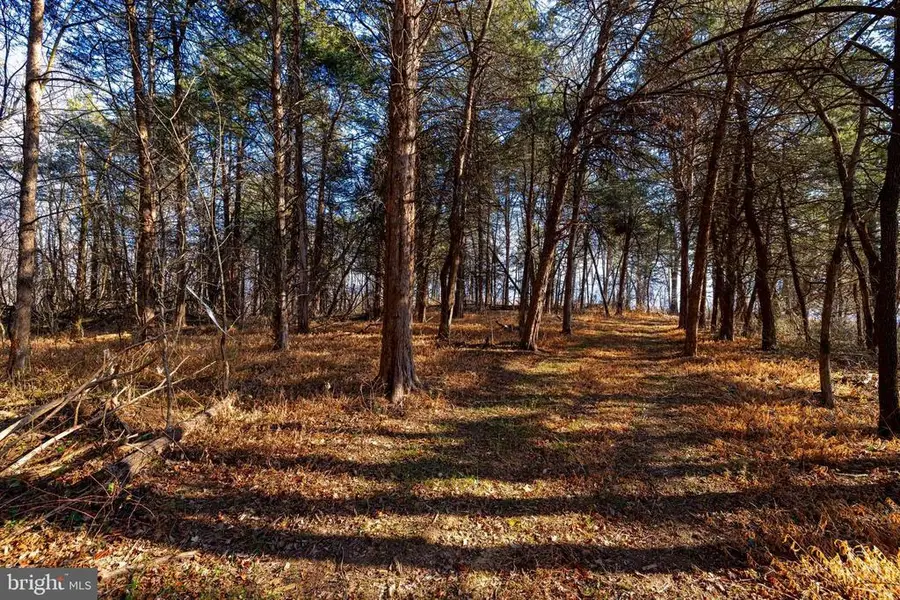 8 Promise Ln, Stanley, VA 22851 - Image #3