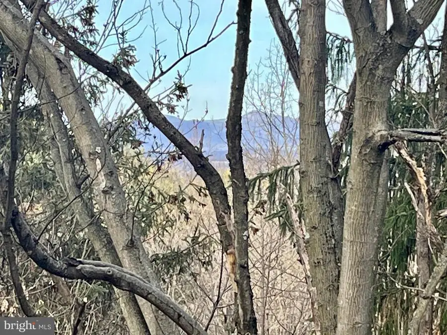 347 Restmore Ln, Stanley, VA 22851 - #2