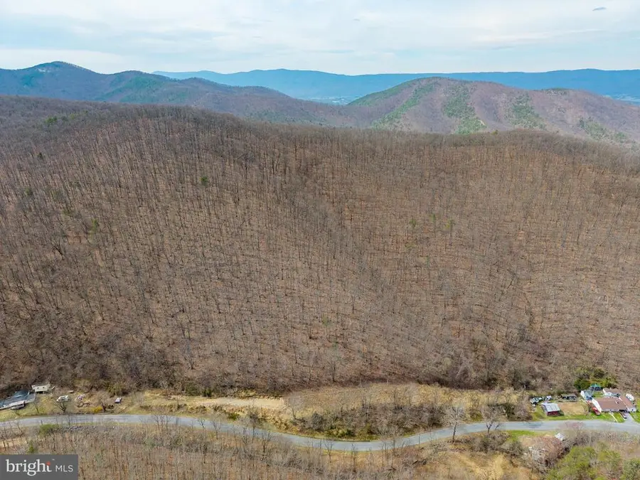 2382 Lucas Hollow Rd, Stanley, VA 22851 - #3