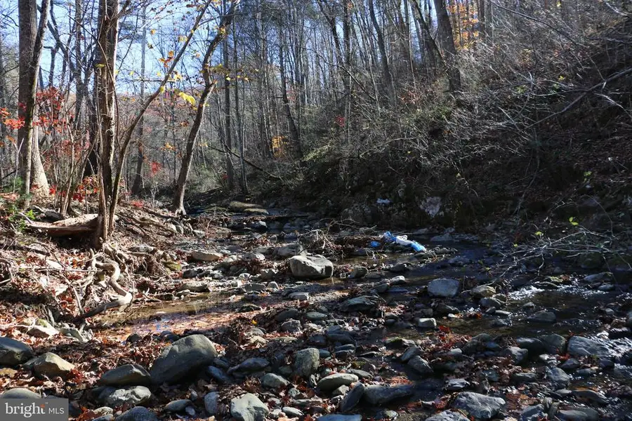 0 Overlook Mountain Rd, Elkton, VA 22827 - #2